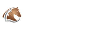 Beta Groupz